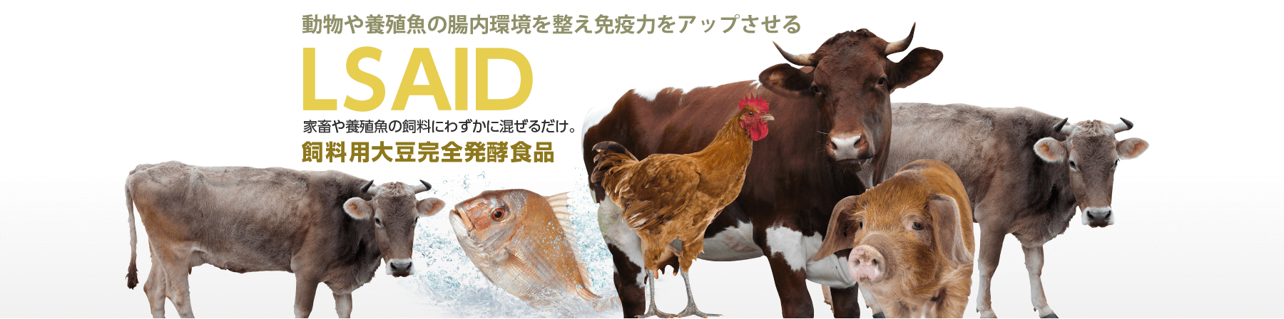 LSAID 飼料用大豆完全発酵食品