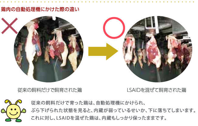 鶏肉の自動処理機にかけた際の違い