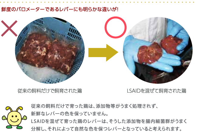 鮮度のバロメーターであるレバーにも明らかな違いが！