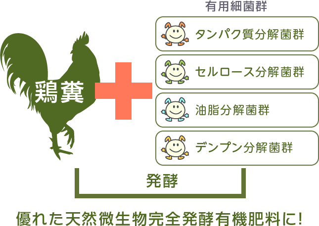鶏糞 + 有用細菌群を発酵 優れた天然微生物有機肥料に!